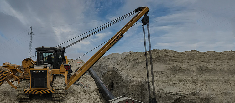 w88优德 - 更专业的w88玩家问答网站