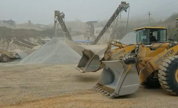 w88优德 - 更专业的w88玩家问答网站